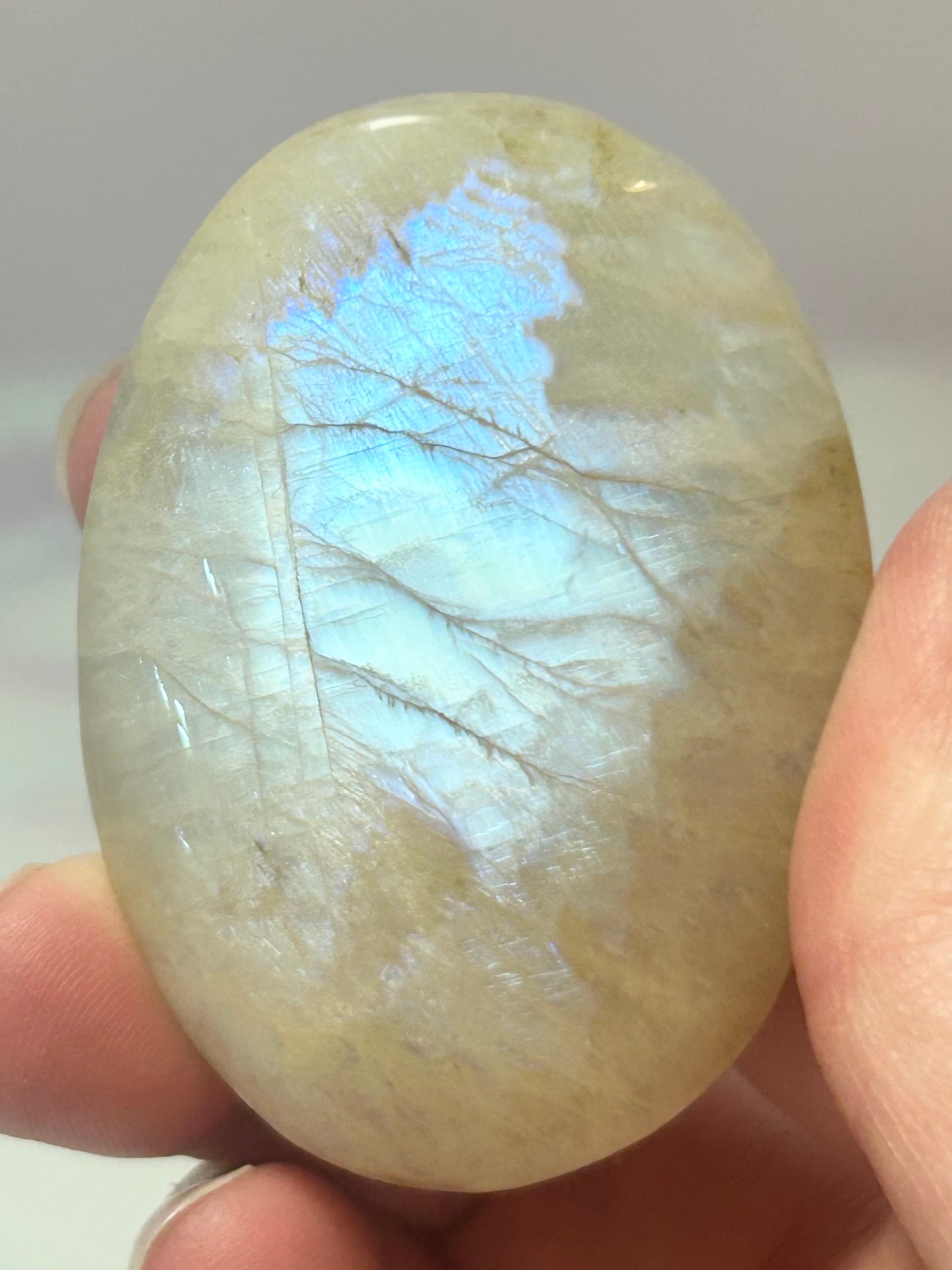 Moonstone Palmstones