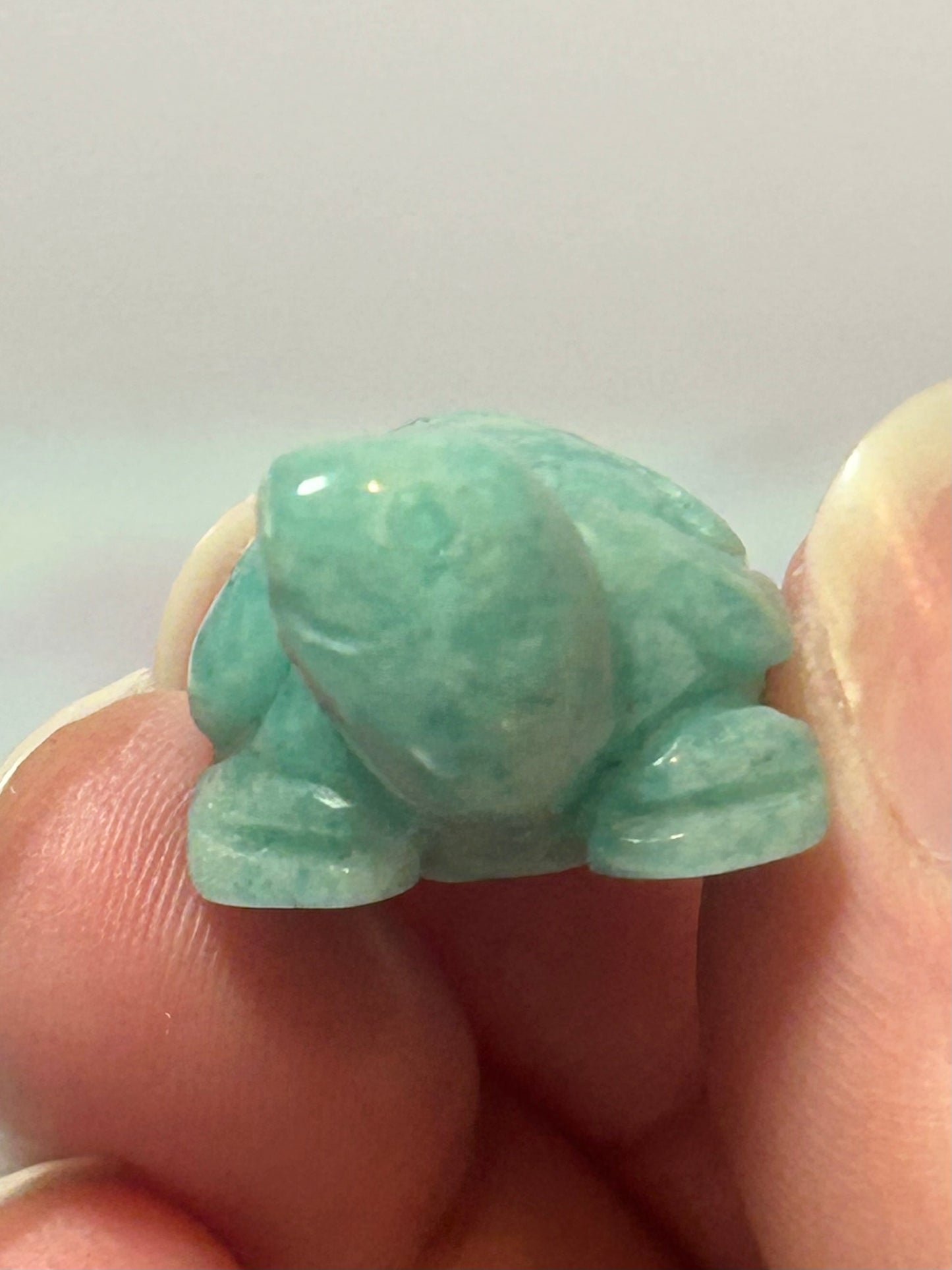 Amazonite Turtle