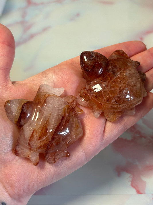 Fire Quartz Turtles