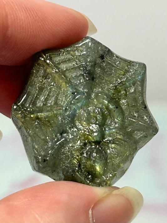 Labradorite Spider B